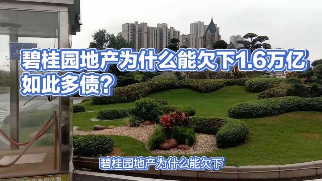 碧桂园地产为什么能欠下1.6万亿如此多债?