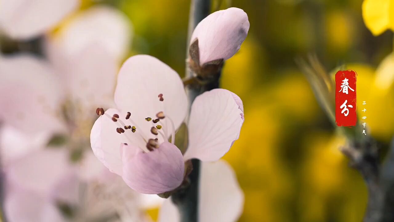 春来万物醒 电通万家明