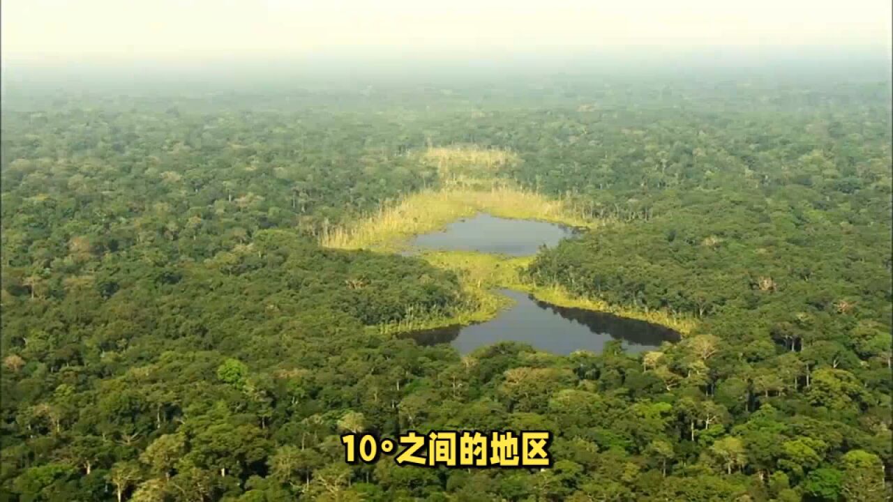 热带雨林气候特点