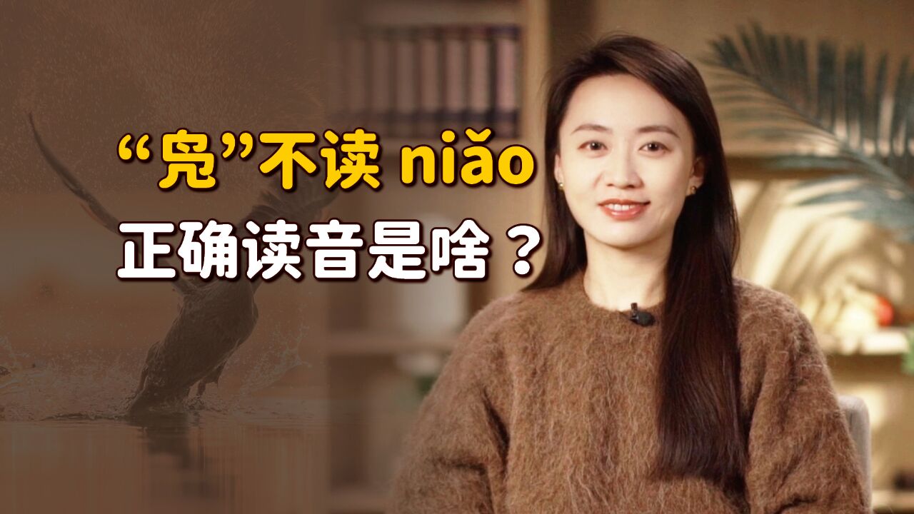 “凫”字怎么读?不读niao也不读ji,考验文化的时候到了