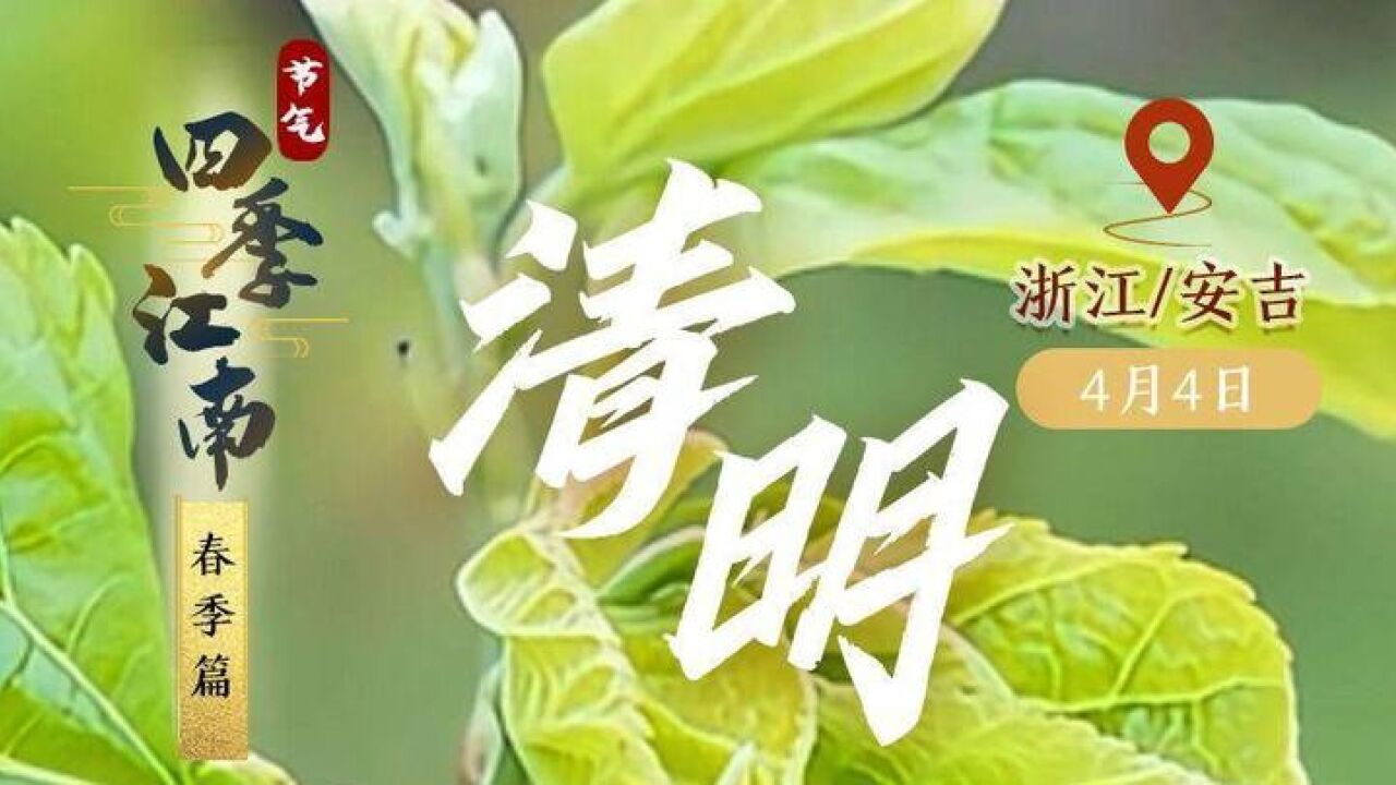 四季江南:看蚕娘 轧蚕花 清明去德清新市共赏最美四月天