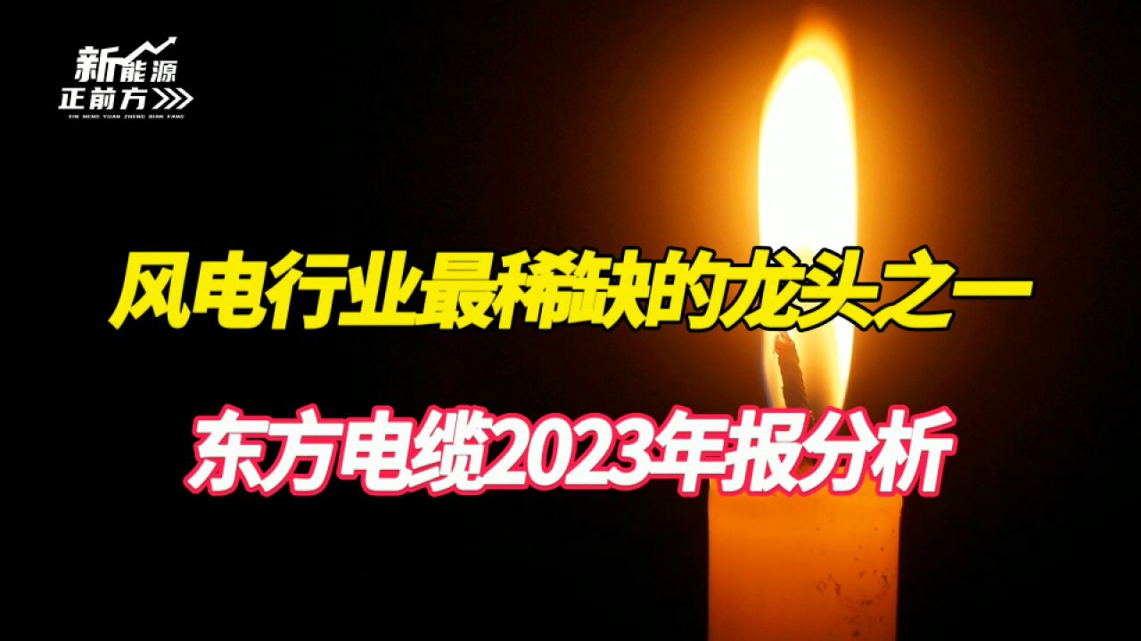 机构全都杀回来了,风电最稀缺龙头之一,ROE超高,确定性极强