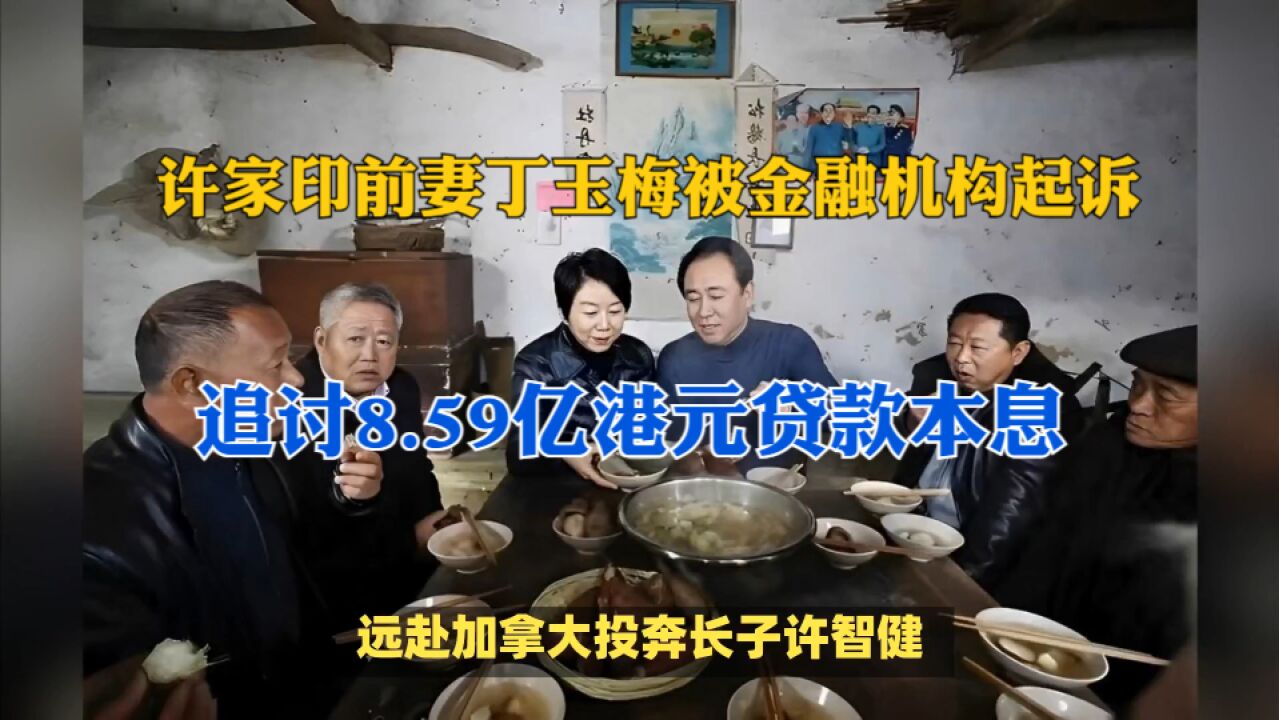 许家印前妻丁玉梅被金融机构起诉,追讨8.59亿港元贷款本息