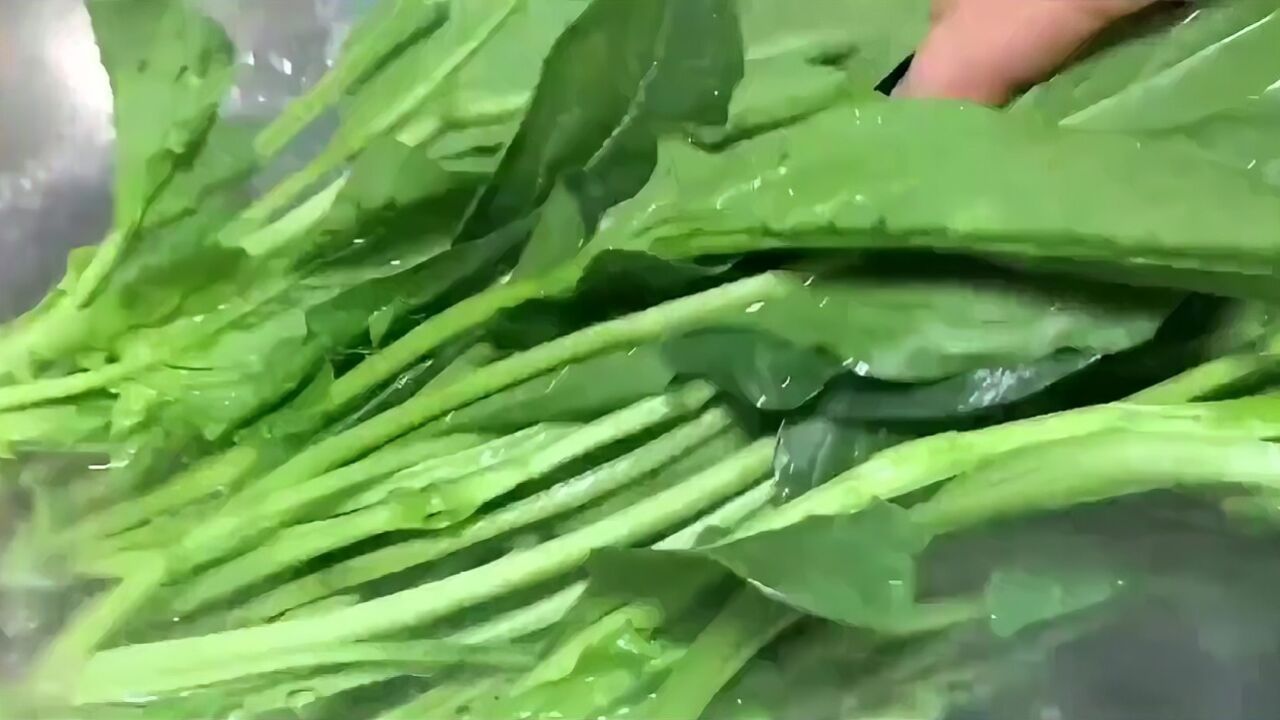 菠菜汤需要焯水吗?菠菜汤要怎样做才清淡,爽口又解油腻呢?