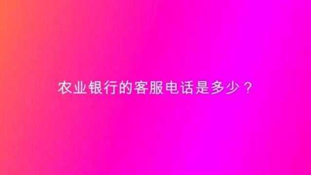 农业银行的客服电话是多少?