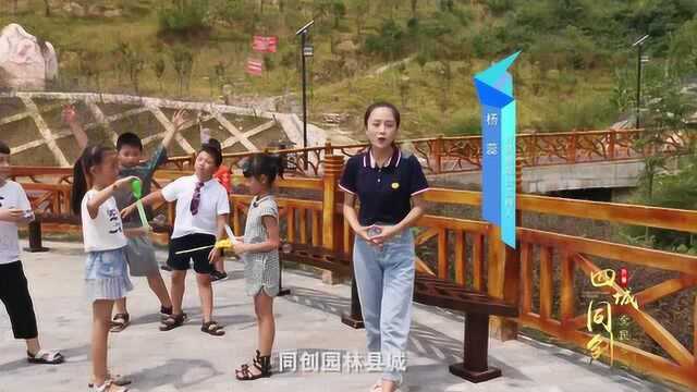 八台山景区新增玻璃滑漂旅游项目将于国庆对外开放