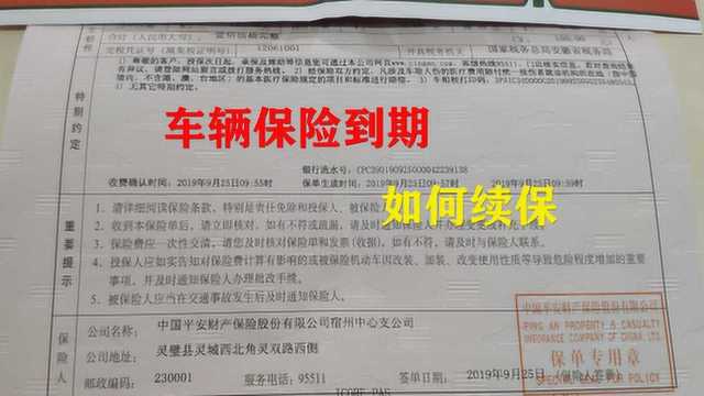 车险到期后第二年续保怎样合适又省心,新手朋友了解下,不浪费钱