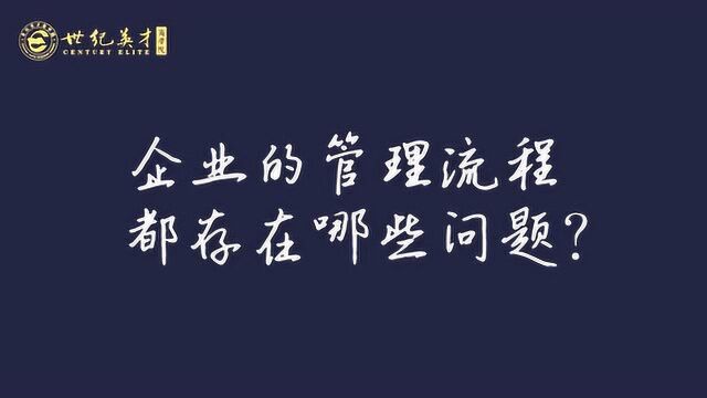 《企业流程优化与管理》王翔