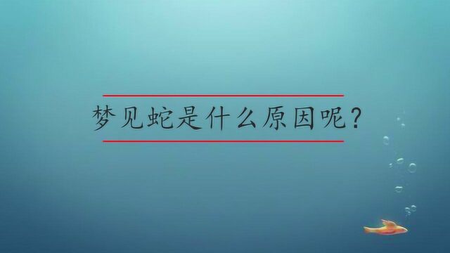 梦见蛇是什么原因呢?