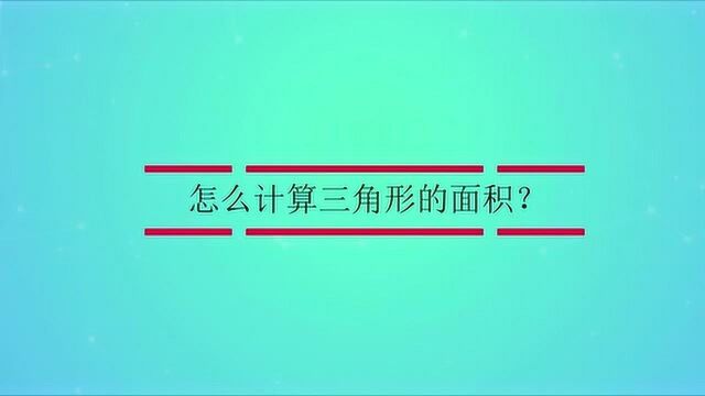 怎么计算三角形的面积?