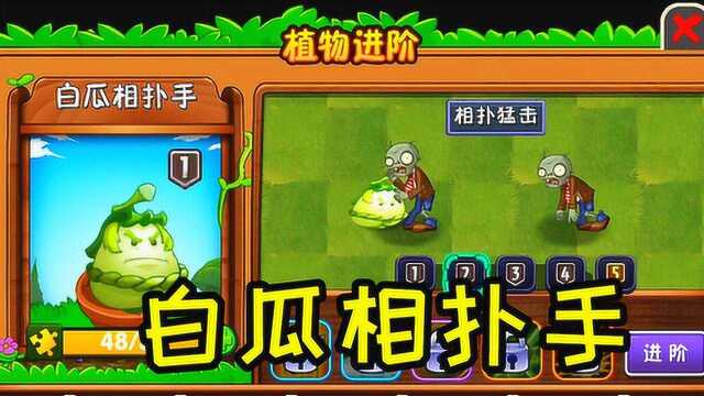 小鸢解说 661白瓜相扑手,不倒翁对对碰 植物大战僵尸ll