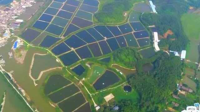 心水之旅第36期:江门台山镇海湾