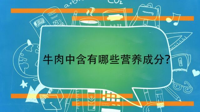 牛肉中含有哪些营养成分?