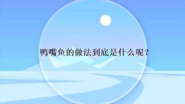 鸭嘴鱼的做法到底是什么呢?