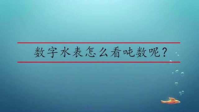 数字水表怎么看吨数呢?