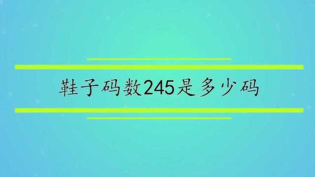 鞋子码数245是多少码