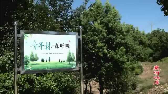 襄河两岸第116期十字森林城镇