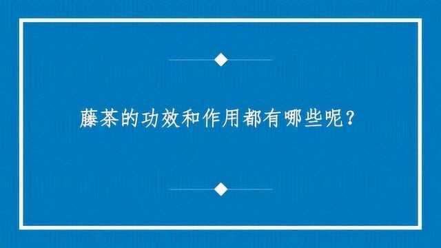 藤茶的功效和作用都有哪些呢?