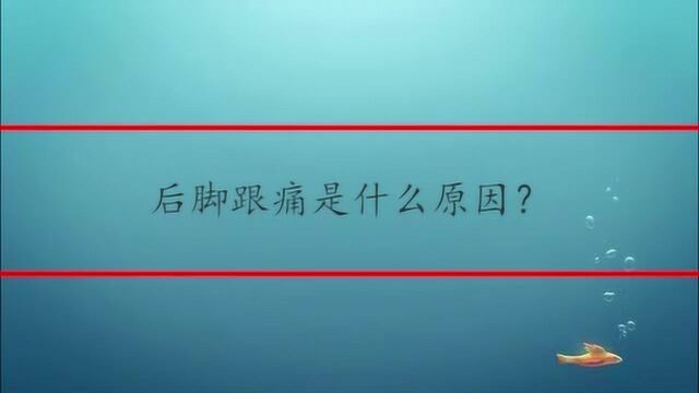 后脚跟痛是什么原因?