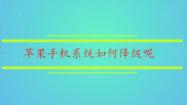 苹果手机系统如何降级呢