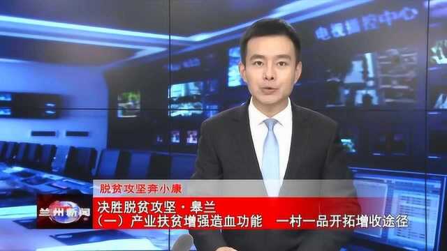 皋兰:产业扶贫增强造血功能 一村一品开拓增收途径