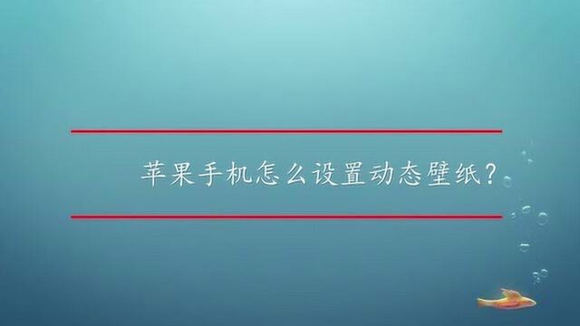 苹果手机怎么设置动态壁纸?