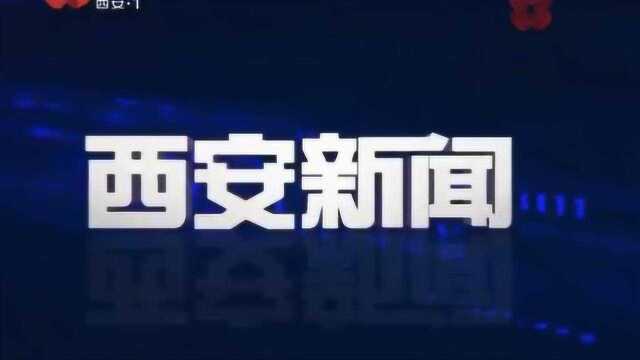 西安追赶超越2019 古城加速“绿”动 西安前三季度绿化建设成效显著