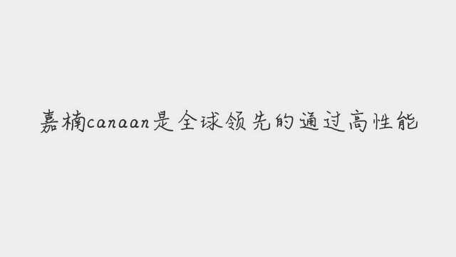 嘉楠科技正式登陆纳斯达克,初始发行价为9美元