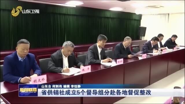 省供销社部署整改《问政山东》曝光问题 5个督导组赴各地督导整改