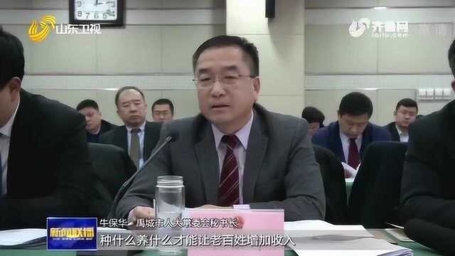 禹城人大:每年向选举单位报告履职情况 认真履职 切实为民发声