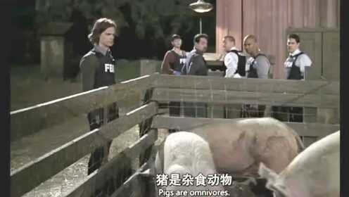 男子谋杀数百人但找不到尸体,都被养的猪给消化掉