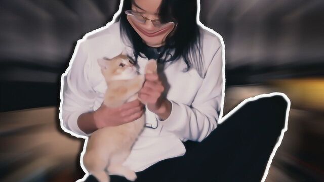 【小猪】测试猫猫最喜欢的玩具是什么!?