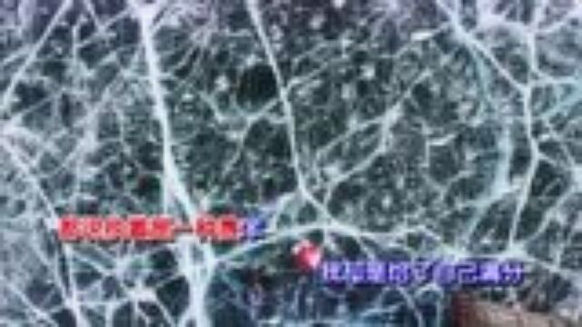 徐国恩《懵懂少年》MV饭制版