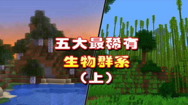 盘点MC生物群系!你见过一望无际的桦树和竹林吗?如果见过可以买彩票了!