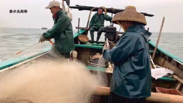 小伙赶海遇上新鲜事,刚抓的螃蟹当场在交配,渔民看到脸都红了