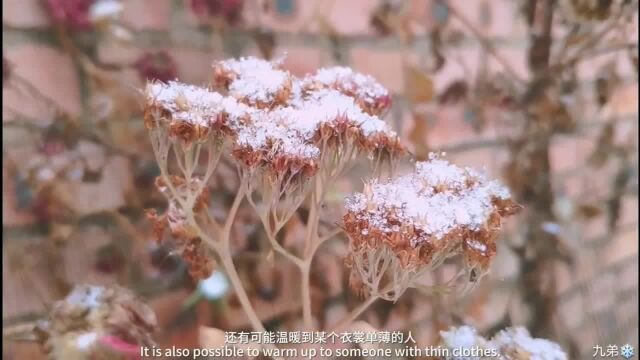 尽管天气很冷,却有很温暖的句子!