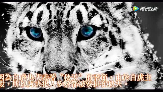 上古四大神兽听说过!上古四大凶兽你知道是哪些吗?!