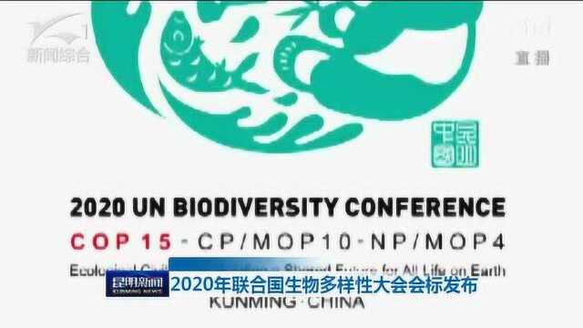 2020年联合国生物多样性大会会标发布