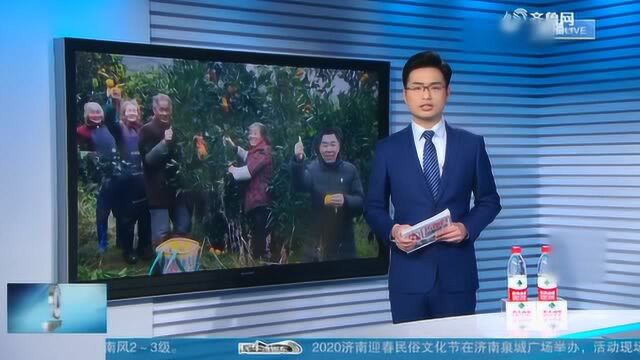 鲁渝一家亲忠橙爱心助农活动启动 帮助果农脱贫攻坚 让果农过好年