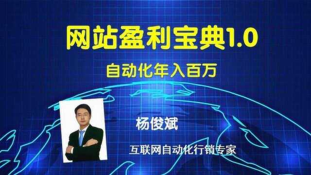 网站盈利宝典1.0 第一课 什么样的网站能年盈利百万 杨俊斌