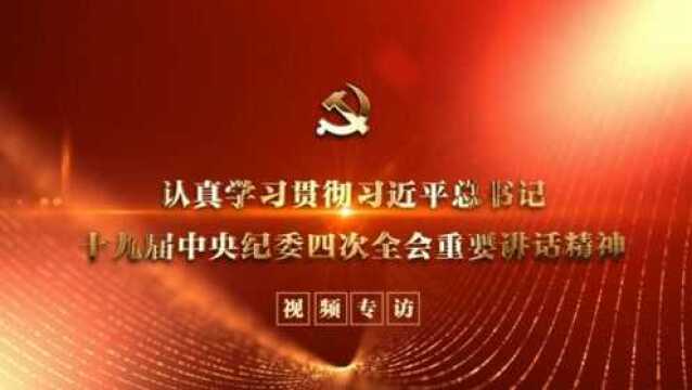 决胜全面建成小康社会、决战脱贫攻坚,提供坚强保障,纪检监察机关怎么干?