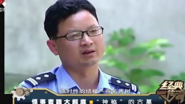 神秘古墓2:盗贼盗挖古墓,被吓得神神叨叨,却不敢提起墓中情景