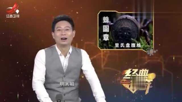 专家使用摄像头探查孔洞,竟发现了印章状生物,外号蛛圆章