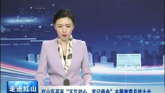 红山区召开“不忘初心、牢记使命”主题教育总结大会