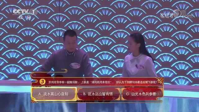 中国诗词大会丨杨雨:人回诗里 人在画中