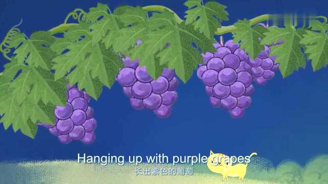 动感音乐之动感乐曲:GRAPE VINE