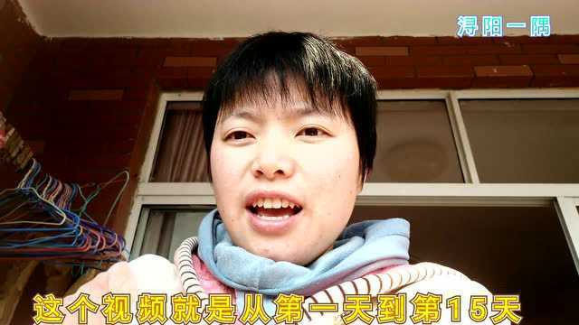 小白兔和小黑兔从出生到15天的视频