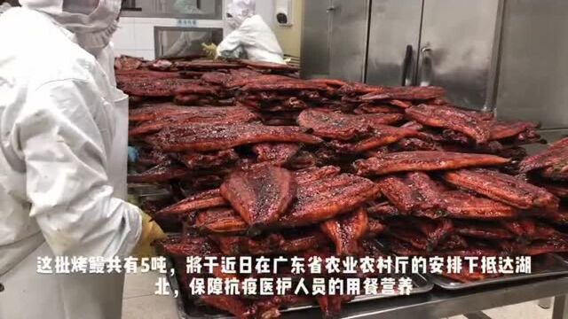 顺德企业捐赠10吨烤鳗驰援湖北 为一线医护人员添营养