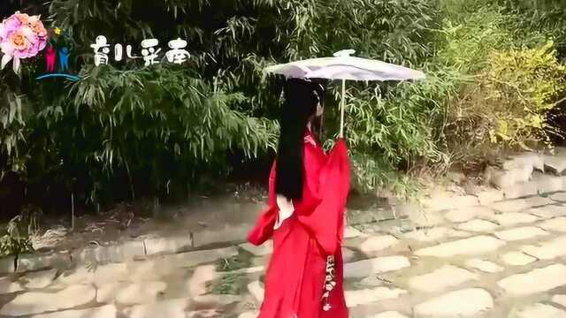 经典音乐,一首《自由飞翔》婉转动听,娓娓动人