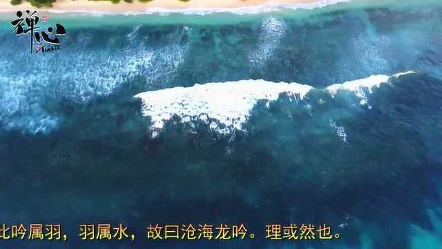 古琴曲欣赏《沧海龙吟》,淸冷和缓之调,寓飘忽动荡之势